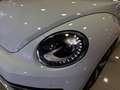 Volkswagen Beetle 1.2 TSI Design 77kW Blanco - thumbnail 10