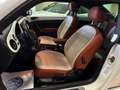 Volkswagen Beetle 1.2 TSI Design 77kW Blanco - thumbnail 7