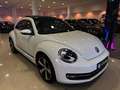 Volkswagen Beetle 1.2 TSI Design 77kW Blanco - thumbnail 12