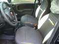 Fiat Panda Cross Pandina 1.0 FireFly Hybrid 5Posto Nuovo Mo Nero - thumbnail 18