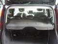 Fiat Panda Cross Pandina 1.0 FireFly Hybrid 5Posto Nuovo Mo Nero - thumbnail 29