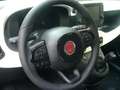 Fiat Panda Cross Pandina 1.0 FireFly Hybrid 5Posto Nuovo Mo Nero - thumbnail 16