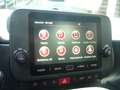 Fiat Panda Cross Pandina 1.0 FireFly Hybrid 5Posto Nuovo Mo Nero - thumbnail 23