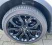 Land Rover Range Rover Evoque Cabrio TD4 SE Dynamic Blanc - thumbnail 17
