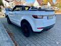 Land Rover Range Rover Evoque Cabrio TD4 SE Dynamic Wit - thumbnail 8