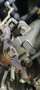 Alfa Romeo 33 1.3 S Zilver - thumbnail 31