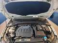 Volkswagen Golf VIII 2.0 TDI Life*STANDH*R-CAM*VIRTUAL* Weiß - thumbnail 6