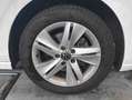 Volkswagen Golf VIII 2.0 TDI Life*STANDH*R-CAM*VIRTUAL* Weiß - thumbnail 5