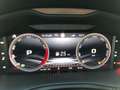 Skoda Scala Monte Carlo Matrix Kamera SmartLink Grau - thumbnail 16