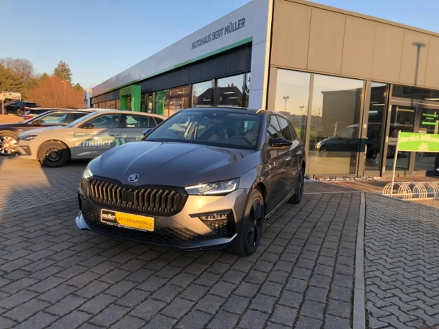 Skoda Scala Monte Carlo Matrix Kamera SmartLink Grau - 2