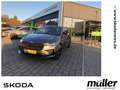 Skoda Scala Monte Carlo Matrix Kamera SmartLink Grau - thumbnail 1