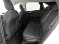 Ford Kuga 1.5 EcoB Titanium ParkAss+iACC+AHK+SHZ v/h Bianco - thumbnail 17