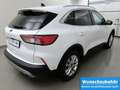 Ford Kuga 1.5 EcoB Titanium ParkAss+iACC+AHK+SHZ v/h Bianco - thumbnail 4
