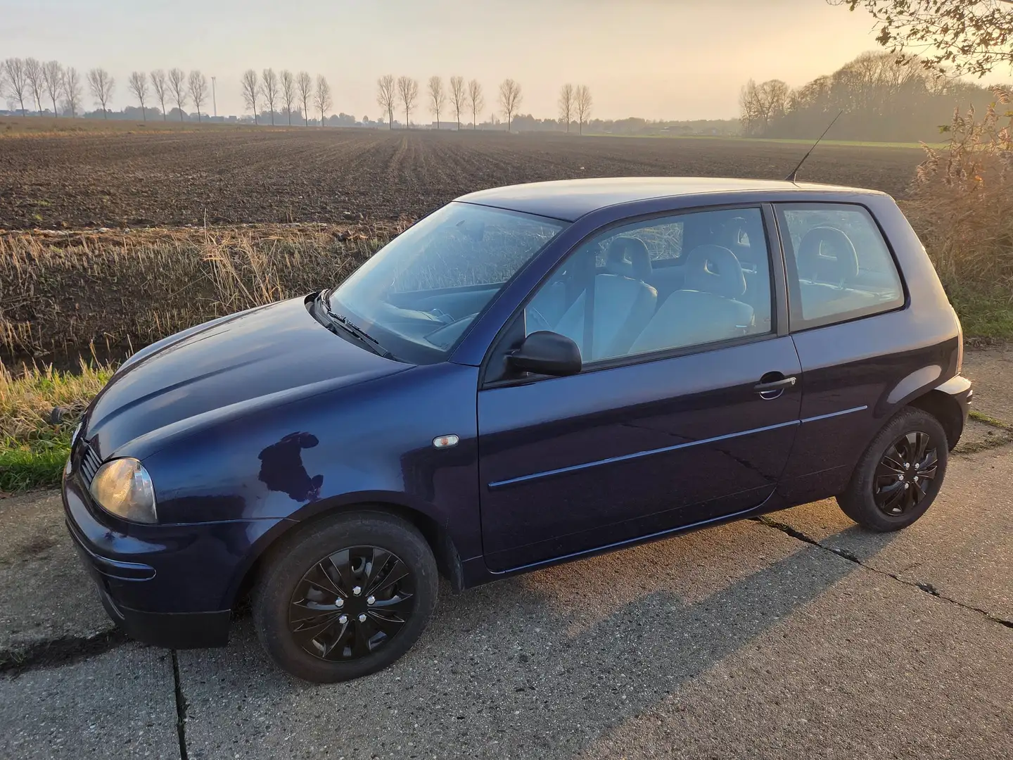 SEAT Arosa Blu/Azzurro - 1