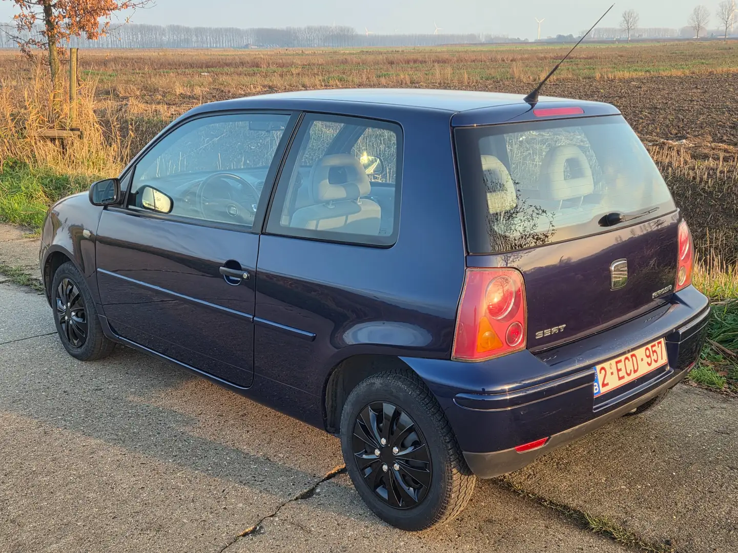 SEAT Arosa Blu/Azzurro - 2