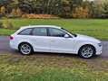 Audi A4 Avant Ambition quattro Blanc - thumbnail 4