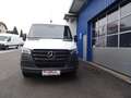 Mercedes-Benz Sprinter 317 CDI RWD 9G-Tronic L2H2 / AHK 3500 KG Weiß - thumbnail 9