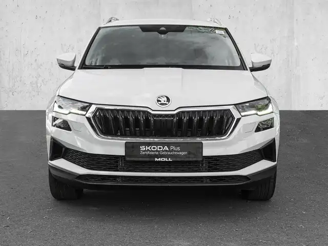 Skoda Karoq view 3