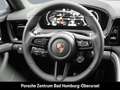 Porsche Panamera 4S E-Hybrid Burmester Sportabgasanlage Verde - thumbnail 18