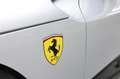 Ferrari Purosangue Carbon Painted shields Argent - thumbnail 13