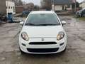 Fiat Panda 69 Ch//2012//181.653km//CLIM Gris - thumbnail 2