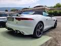 Jaguar F-Type V8 Cabrio S Automatica Kamera 360 Blanc - thumbnail 8