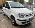 Fiat Panda Panda 1.3 mjt 16v Active 75cv Bianco - thumbnail 2
