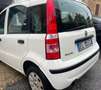 Fiat Panda Panda 1.3 mjt 16v Active 75cv Bianco - thumbnail 7
