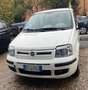 Fiat Panda Panda 1.3 mjt 16v Active 75cv Bianco - thumbnail 8