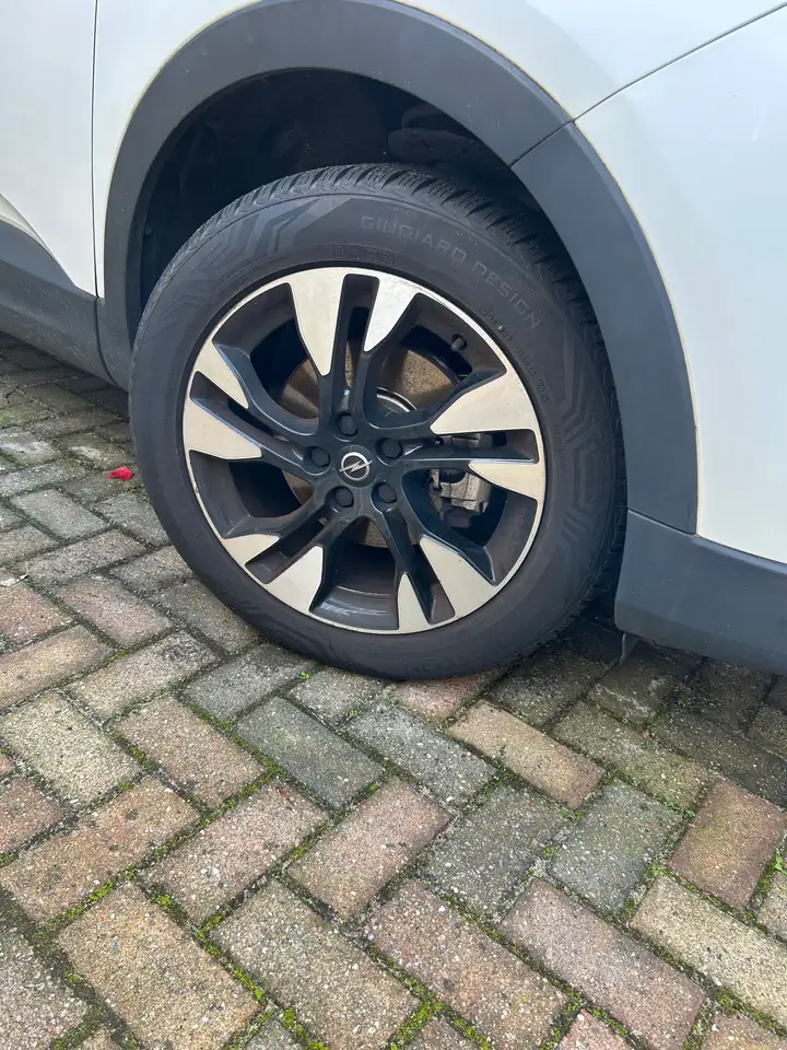 2019 Opel Grandland X Grandland X 1.2 Turbo Business, photograph 4