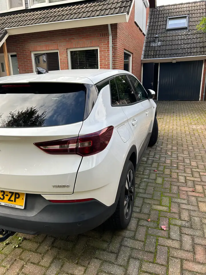 2019 Opel Grandland X Grandland X 1.2 Turbo Business, photograph 2