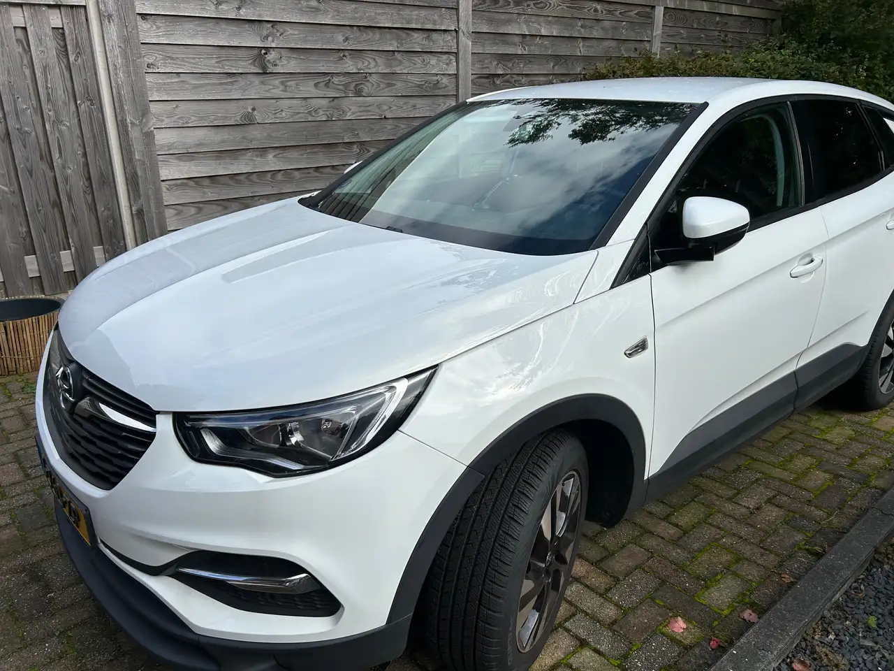 2019 Opel Grandland X Grandland X 1.2 Turbo Business, photograph 3