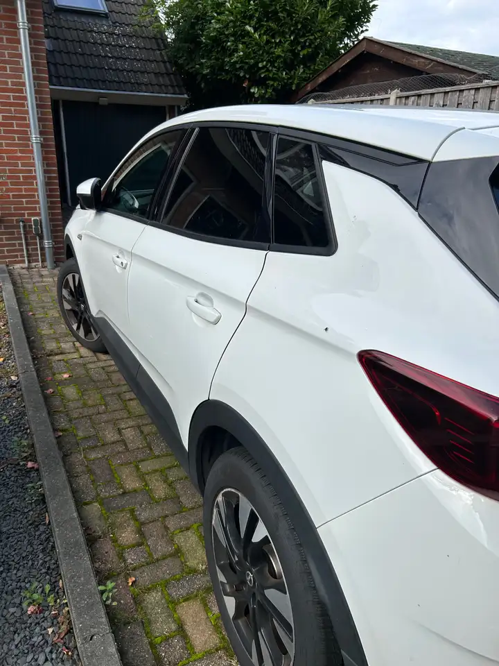 2019 Opel Grandland X Grandland X 1.2 Turbo Business, photograph 5
