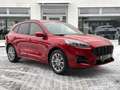 Ford Kuga 1.5 EcoBoost ST-Line X *AHK*beh.Lenk*ACC* Rouge - thumbnail 5