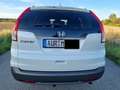 Honda CR-V CR-V Diesel 1.6i DTEC 2WD Lifestyle Weiß - thumbnail 3