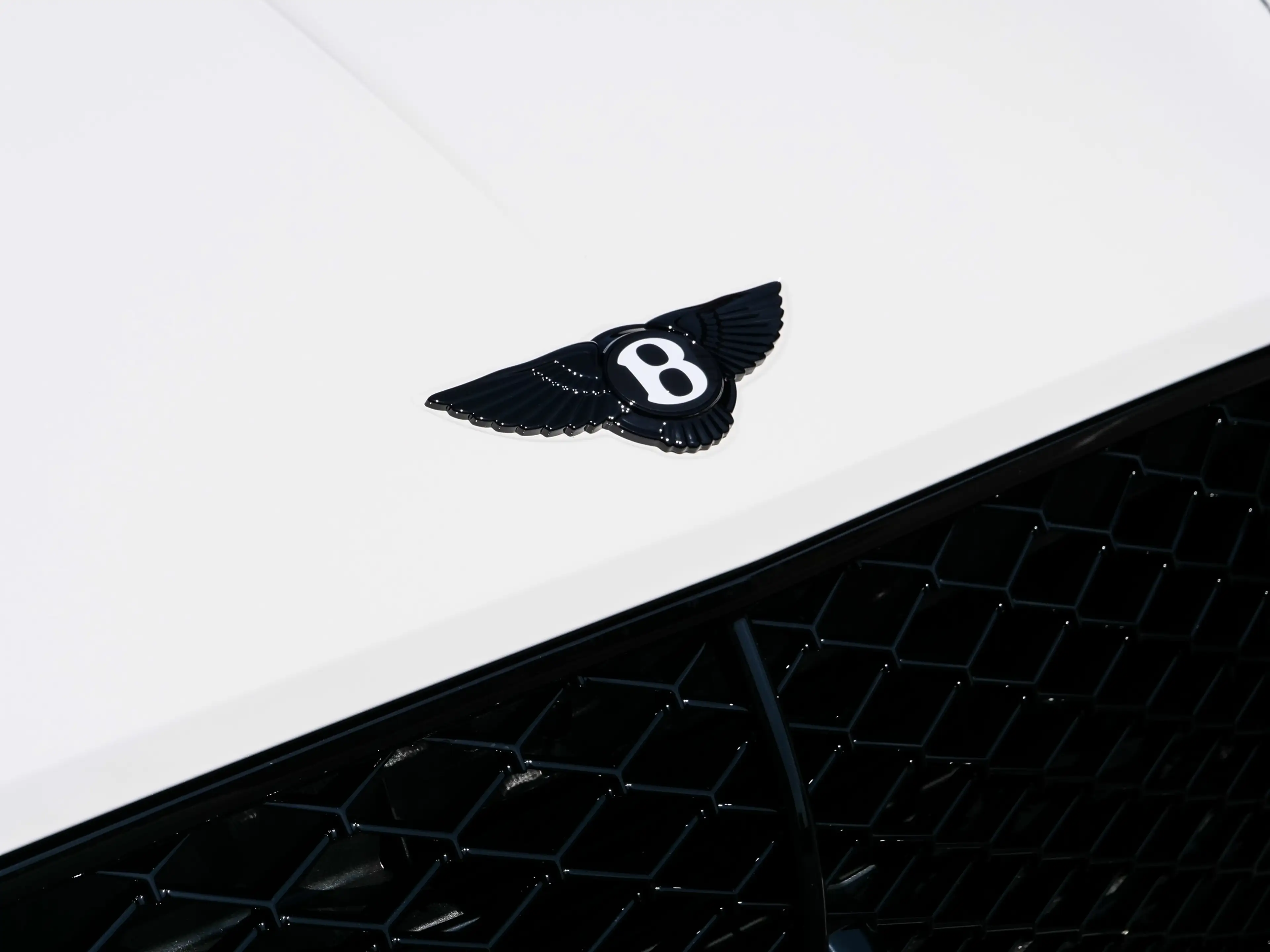 Bentley Continental GT S Bang & Olufsen, Panoramic Roof — photo 11