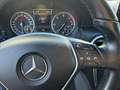 Mercedes-Benz A 180 A 180 CDI Sport Weiß - thumbnail 14