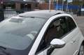 Fiat 500 1.2 LOUNGE LEDER/PARELMOER/PANORAMA-SCHUIFKANTELDA Beige - thumbnail 25