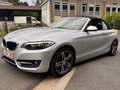 BMW 218 Cabriolet 218i essence Zilver - thumbnail 4