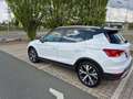 SEAT Arona Arona 1,0 Eco TSI Xperience Xperience Weiß - thumbnail 11