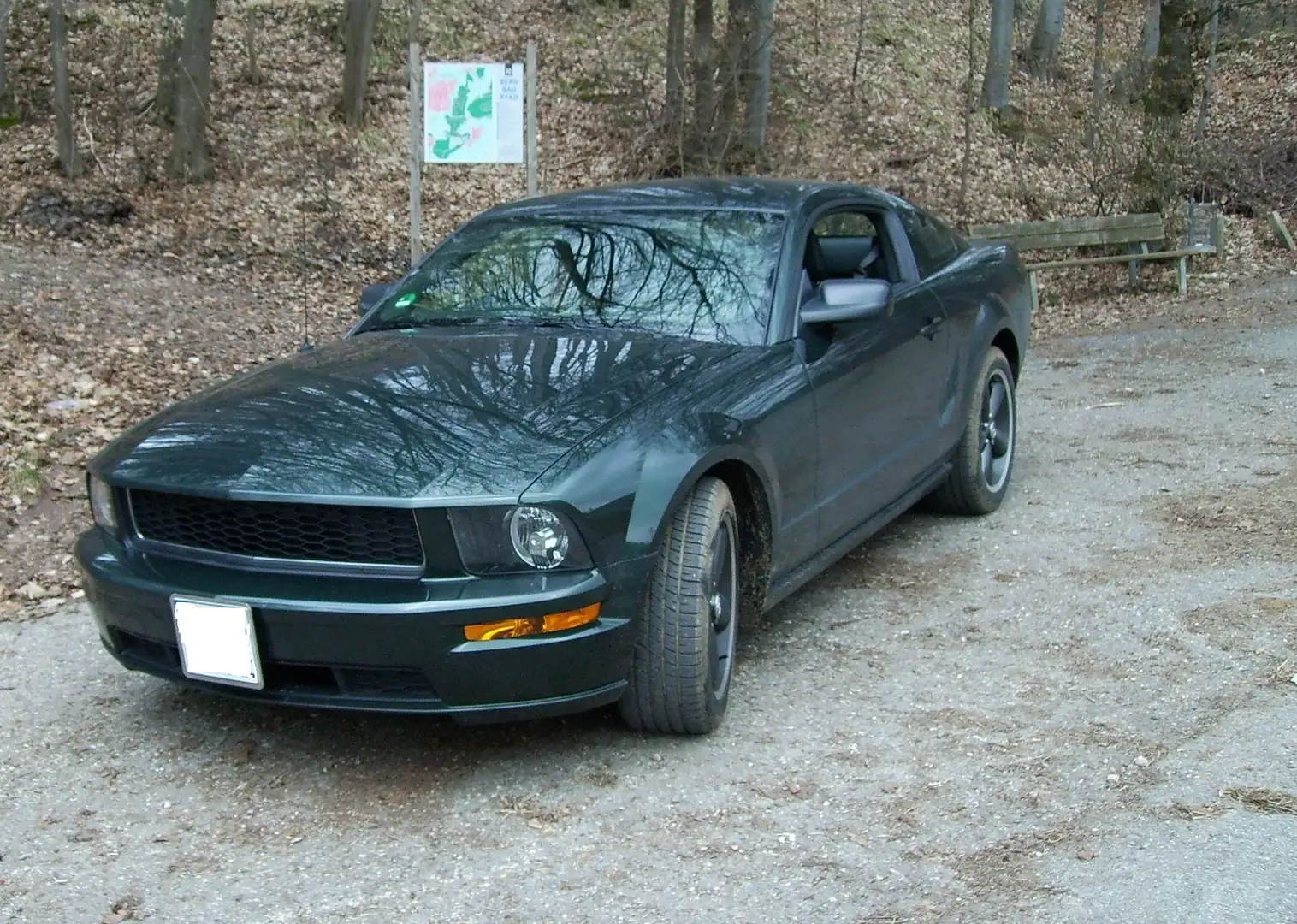 Ford Mustang Bullitt - Sonderedition Verde - 2