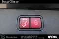 Mercedes-Benz E 220 E 220 d T Avantgarde/Pano/AHK/Distronic/LMR-19" Grau - thumbnail 13