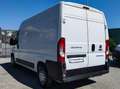 Fiat Ducato 33 MH2 2.3 MJ FURG.P.MEDIO TETTO ALTO 3 PTI-2020 Bianco - thumbnail 5