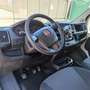 Fiat Ducato 33 MH2 2.3 MJ FURG.P.MEDIO TETTO ALTO 3 PTI-2020 Bianco - thumbnail 13