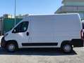 Fiat Ducato 33 MH2 2.3 MJ FURG.P.MEDIO TETTO ALTO 3 PTI-2020 Bianco - thumbnail 6