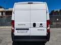 Fiat Ducato 33 MH2 2.3 MJ FURG.P.MEDIO TETTO ALTO 3 PTI-2020 Bianco - thumbnail 4