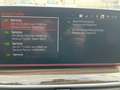 BMW 530 d Mild Hybrid Luxury Line S-Dach SpoSi ACC BLIS Hu Gris - thumbnail 13