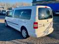 Volkswagen Caddy 1.6 TDI 102 CV 5p.Comfortline Maxi 7 POSTI Wit - thumbnail 3
