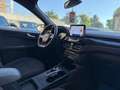 Ford Kuga 2.5 Full Hybrid 190 CV CVT AWD ST-Line Schwarz - thumbnail 11