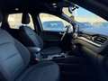 Ford Kuga 2.5 Full Hybrid 190 CV CVT AWD ST-Line Schwarz - thumbnail 12